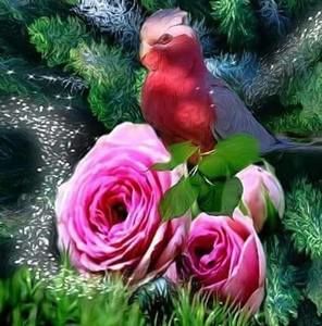 Meet your Posher, Ellen